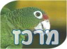 אוכל לכלבים